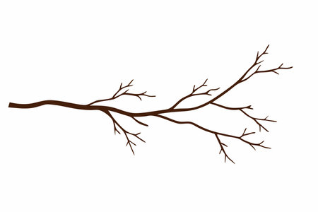 tree branch vector illustration on white backgroundのイラスト素材