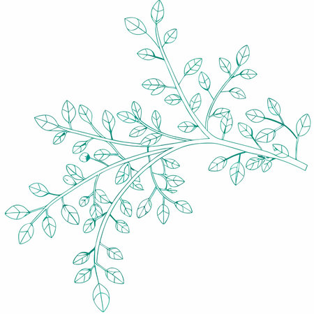tree branch vector illustration on white backgroundのイラスト素材