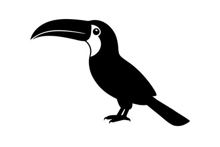 Toucan silhouette vector art on white backgroundのイラスト素材