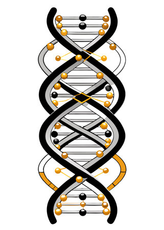 DNA helix symbol vector illustrationのイラスト素材