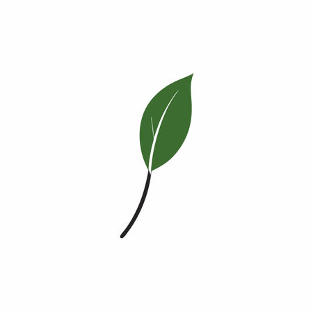 Minimalist leaf illustration on white backgroundのイラスト素材