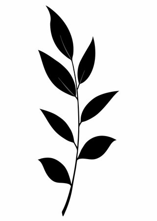 Leaf branch silhouette vector on white backgroundのイラスト素材
