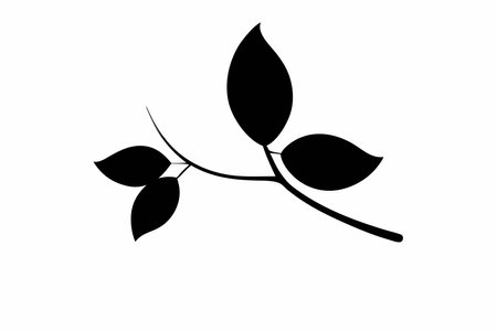 Leaf branch silhouette vector on white backgroundのイラスト素材