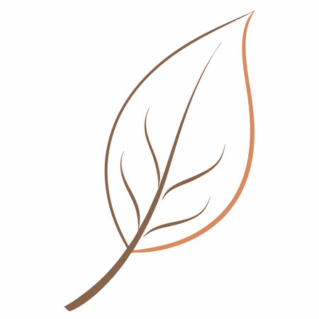 Leaf silhouette vector on white backgroundのイラスト素材