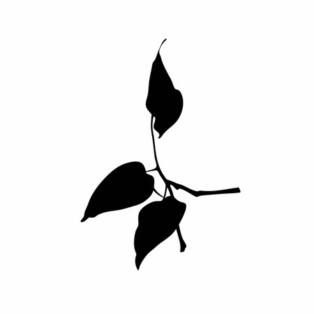 Leaf branch silhouette vector on white backgroundのイラスト素材