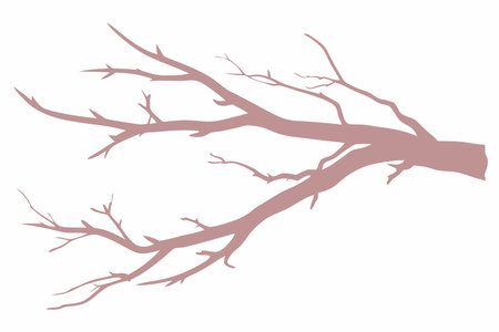 Tree branch silhouette vector on white backgroundのイラスト素材