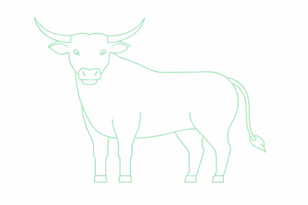 Bull vector on white backgroundのイラスト素材