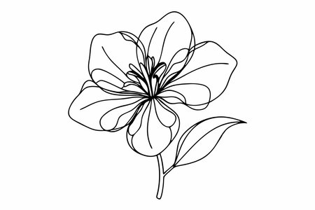 Minimal abstract flower continuous line art on white backgroundのイラスト素材