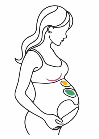 Pregnant women colorful line art vectorのイラスト素材