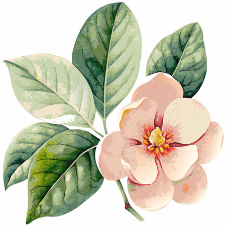 Minimalist watercolor floral vector on white backgroundのイラスト素材