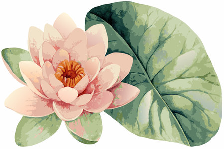 Minimalist watercolor floral vector on white backgroundのイラスト素材