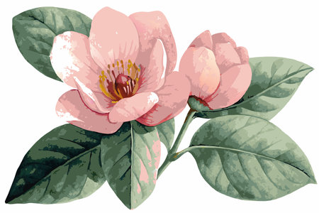 Minimalist watercolor floral vector on white backgroundのイラスト素材