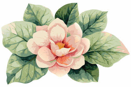 Minimalist watercolor floral vector on white backgroundのイラスト素材