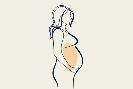 Pregnant women line art vector on white backgroundのイラスト素材