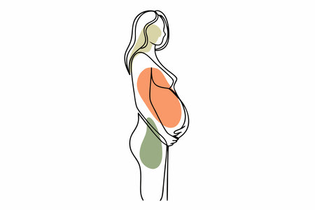 Pregnant women line art vector on white backgroundのイラスト素材