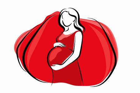 Pregnant women line art vector on white backgroundのイラスト素材