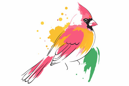 Watercolor cardinal bird vector on white backgroundのイラスト素材