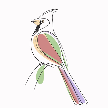 Watercolor cardinal bird vector on white backgroundのイラスト素材