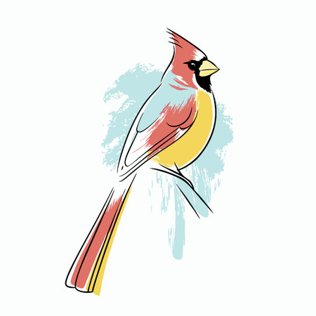 Watercolor cardinal bird vector on white backgroundのイラスト素材