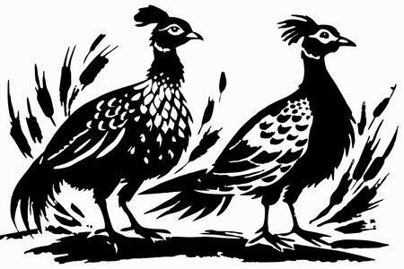 Chinese painting featuring two pheasant birdsのイラスト素材