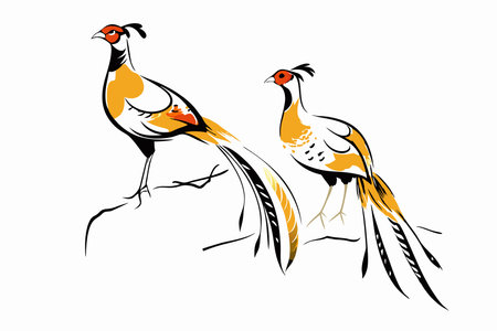 Chinese painting featuring two pheasant birdsのイラスト素材