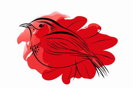 Watercolor bird vector on white backgroundのイラスト素材