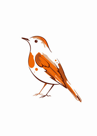 Watercolor bird vector on white backgroundのイラスト素材
