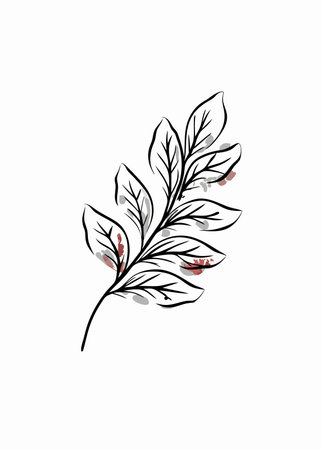 Watercolor botanical leaf vector on white backgroundのイラスト素材
