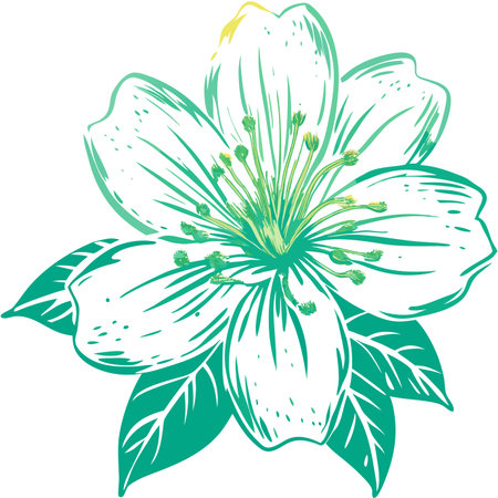 Minimalist botanical flower vector artのイラスト素材