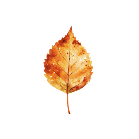 Autumn leaf watercolor on white backgroundのイラスト素材
