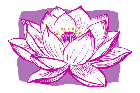 Lotus flower on white backgroundのイラスト素材