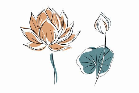 Watercolor Lotus flower and leaf on white backgroundのイラスト素材