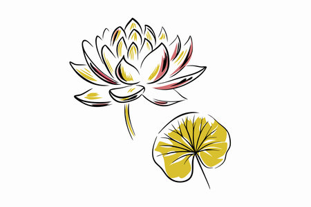 Watercolor Lotus flower and leaf on white backgroundのイラスト素材