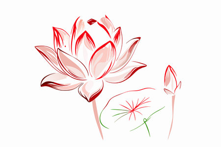 Watercolor Lotus flower and leaf on white backgroundのイラスト素材