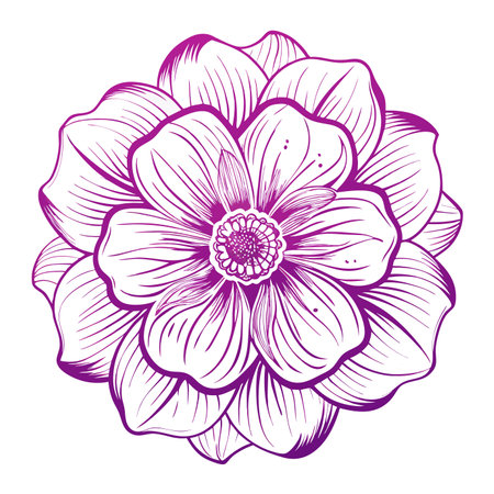 Floral element watercolor vector on whiteのイラスト素材