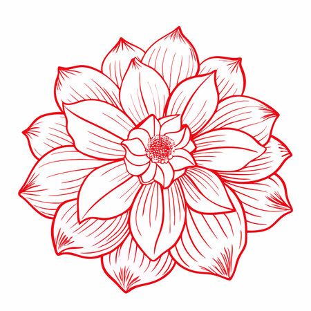 Floral element watercolor vector on whiteのイラスト素材