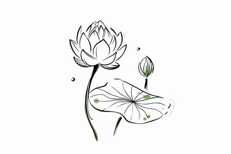 Watercolor Lotus flower and leaf on white backgroundのイラスト素材