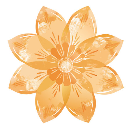 Floral element watercolor vector on whiteのイラスト素材