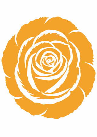 Watercolor rose flower on white backgroundのイラスト素材