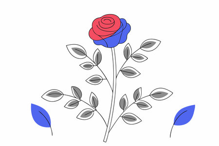 Watercolor rose flower on white backgroundのイラスト素材