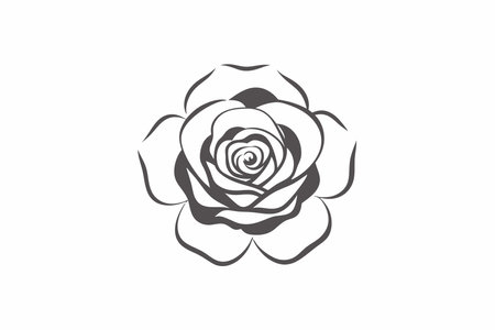 Watercolor rose flower on white backgroundのイラスト素材