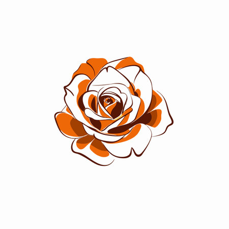Watercolor rose flower on white backgroundのイラスト素材