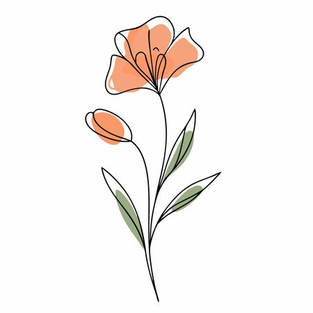 Watercolor wild flower on white backgroundのイラスト素材