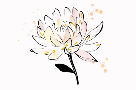 Watercolor wild flower on white backgroundのイラスト素材