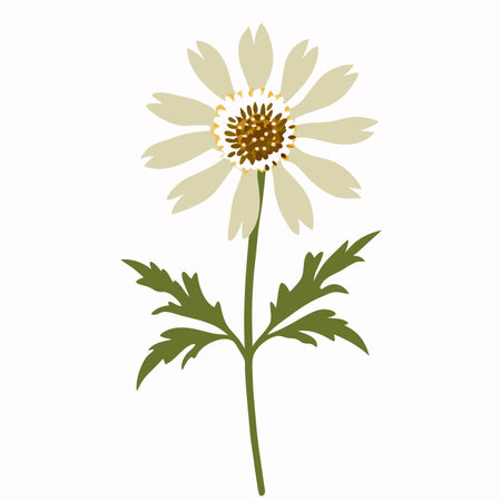 Wild flower vector art on white backgroundのイラスト素材