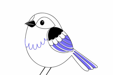 Cute Bird vector art on white backgroundのイラスト素材