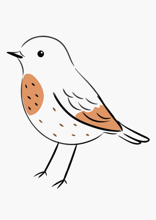 Cute Bird vector art on white backgroundのイラスト素材
