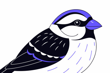 Cute Bird vector art on white backgroundのイラスト素材