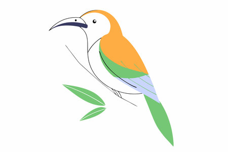 Cute Bird vector art on white backgroundのイラスト素材