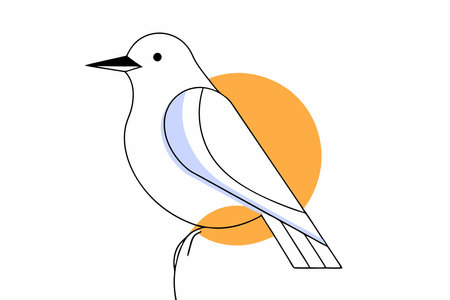 Bird logo vector on white backgroundのイラスト素材